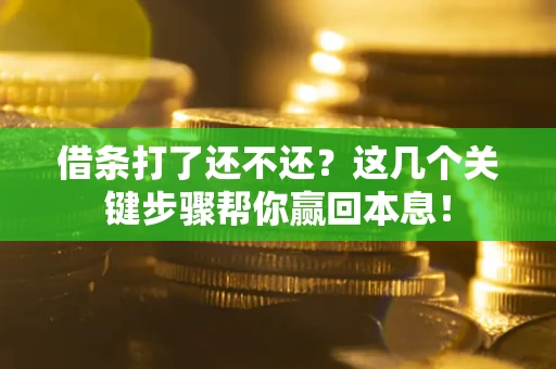 济南借条打了还不还？这几个关键步骤帮你赢回本息！