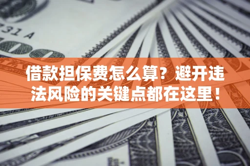 济南借款担保费怎么算？避开违法风险的关键点都在这里！