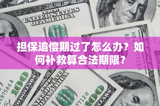 济南担保追偿期过了怎么办？如何补救算合法期限？