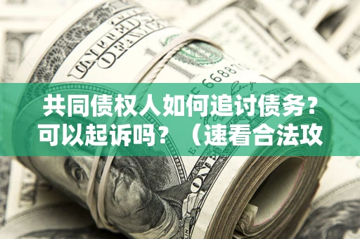 济南共同债权人如何追讨债务？可以起诉吗？（速看合法攻略）