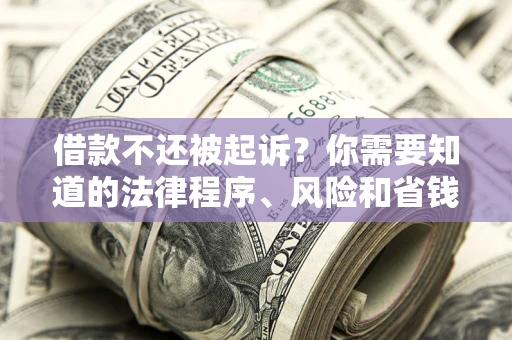 济南借款不还被起诉？你需要知道的法律程序、风险和省钱技巧