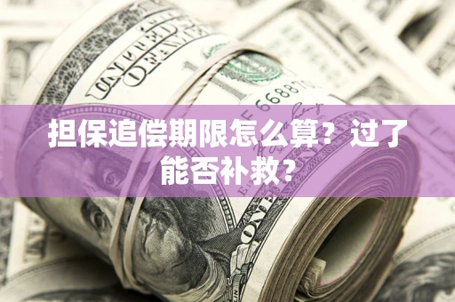 济南担保追偿期限怎么算？过了能否补救？
